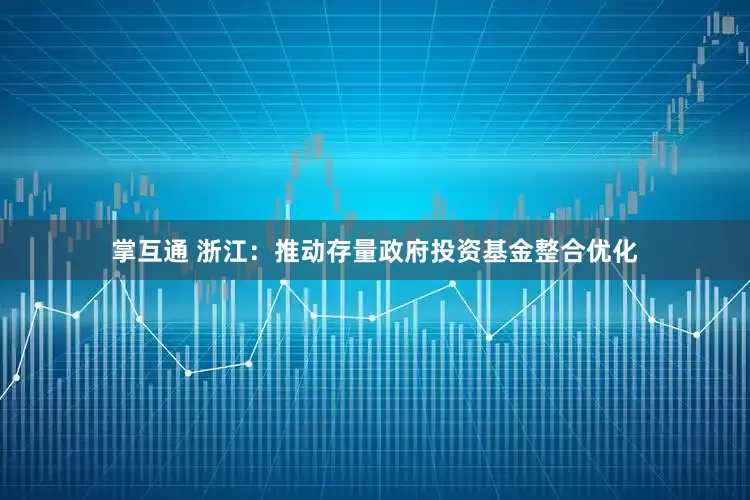 掌互通 浙江：推动存量政府投资基金整合优化
