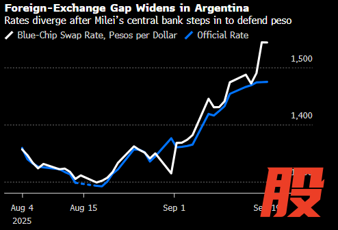 阿根廷外汇汇率差距扩大 —— 米莱政府央行介入捍卫比索后，汇率出现分化