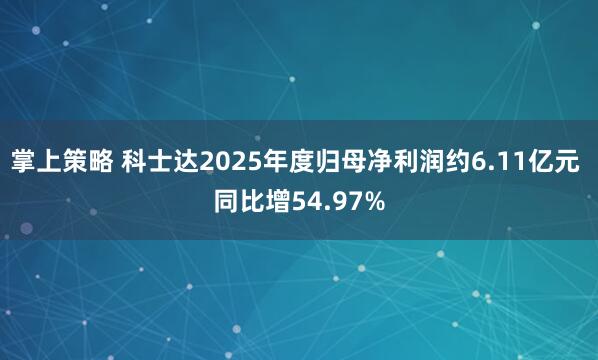 掌上策略 科士达2025年度归母净利润约6.11亿元 同比增54.97%